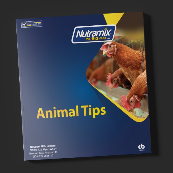 Animal Tips - Nutramix - The Big Feed